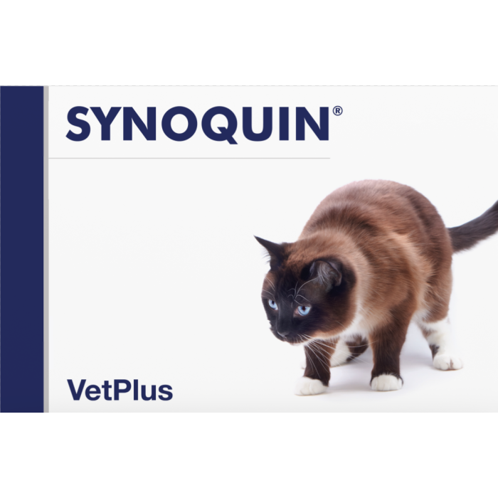 Synoquin EFA Cat kaps 30 kpl