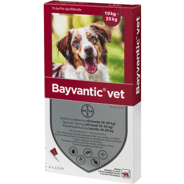 BAYVANTIC VET KOIRILLE 10-25 KG 250/1250 mg paikallisvaleluliuos 4x2,5 ml