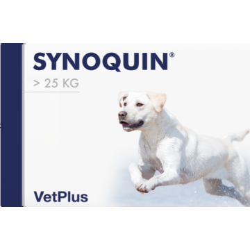 Synoquin EFA Large tabl 30 kpl